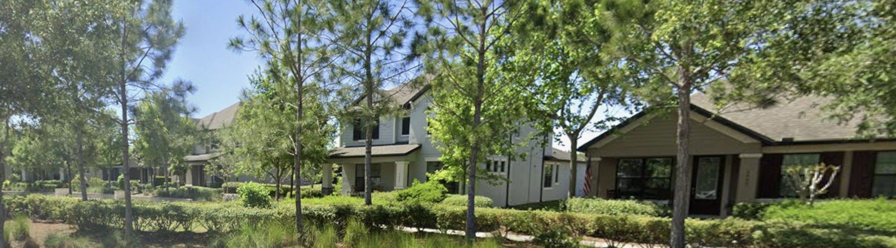A tree-lined Starkey Ranch street of craftsman-style homes with landscaped front yards.